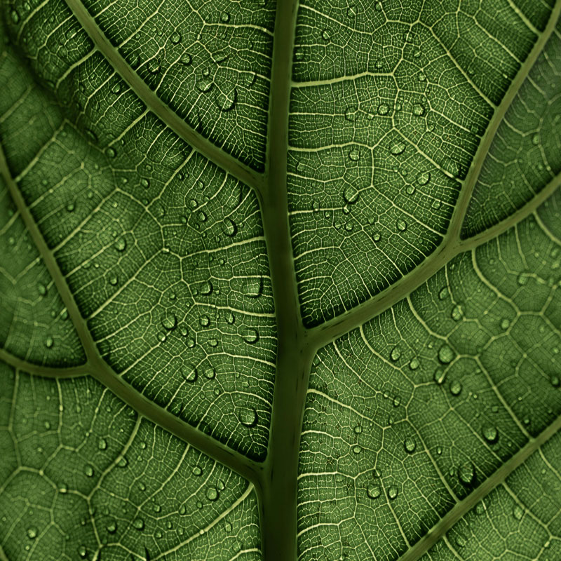 sustainability impact assessments